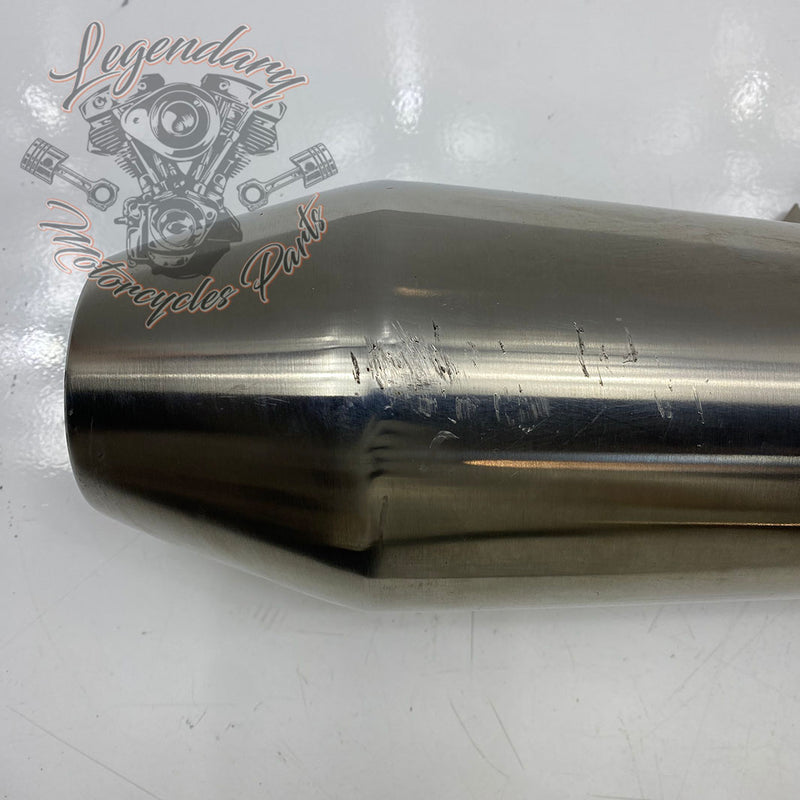 Triumph Silencer Réf. 2203878