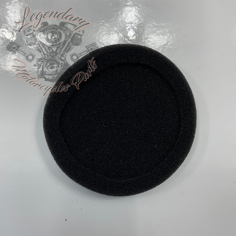Helmet Earphone Sponges OEM 76529-10