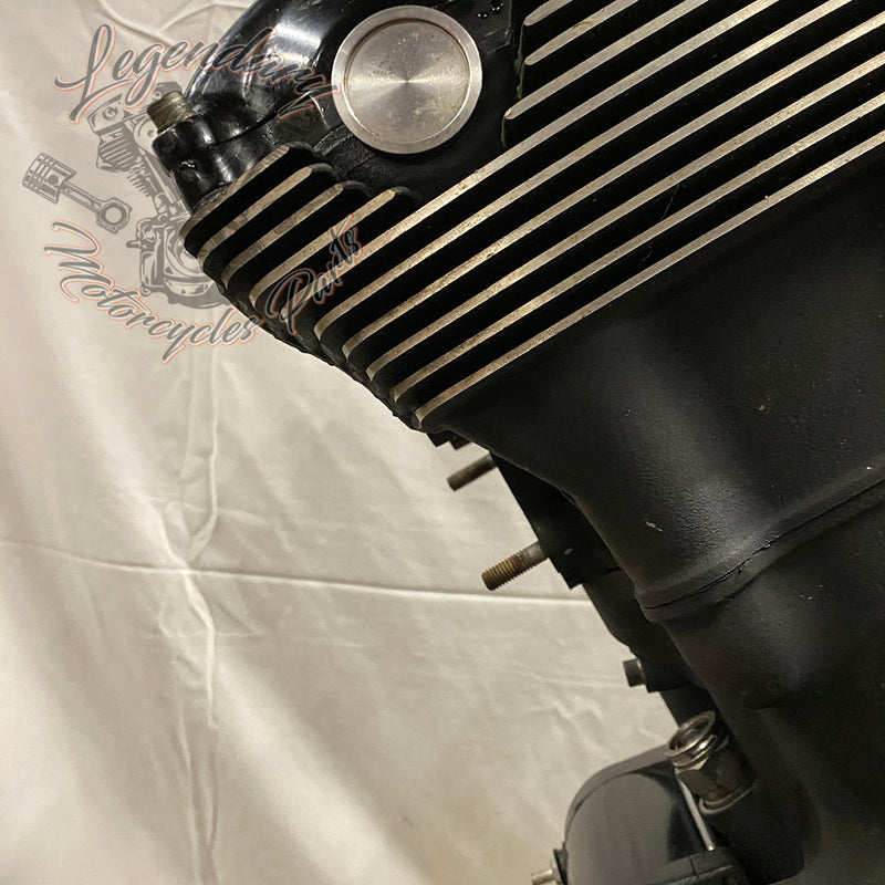 Night Rod Special 1250 OEM 19569-08K Motor