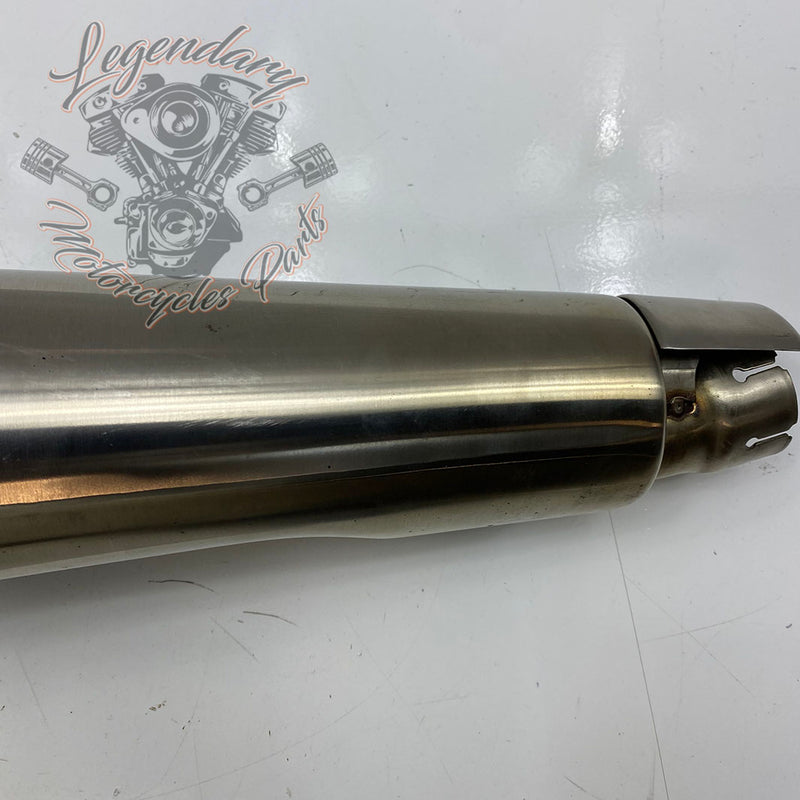 Triumph Silencer Réf. 2203878