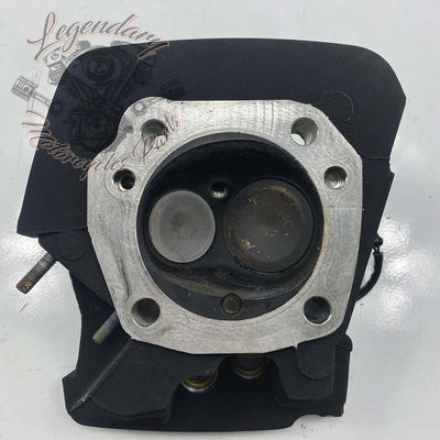 Głowica cylindra przednia OEM 16874-07 (17485-07)