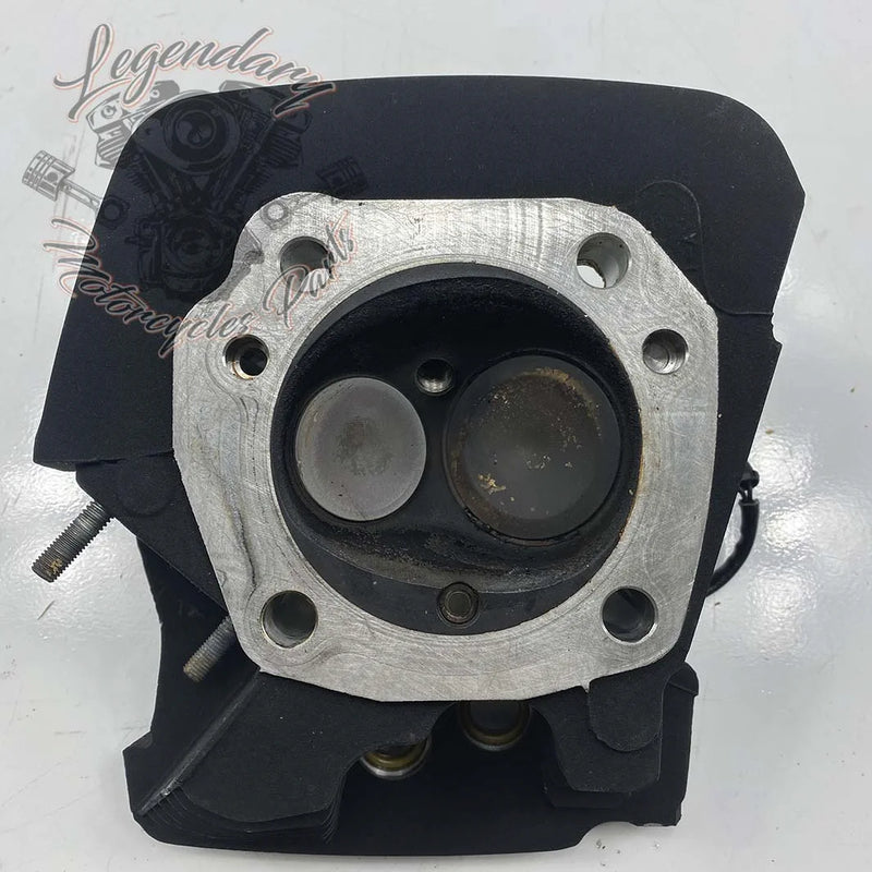 Głowica cylindra przednia OEM 16874-07 (17485-07)