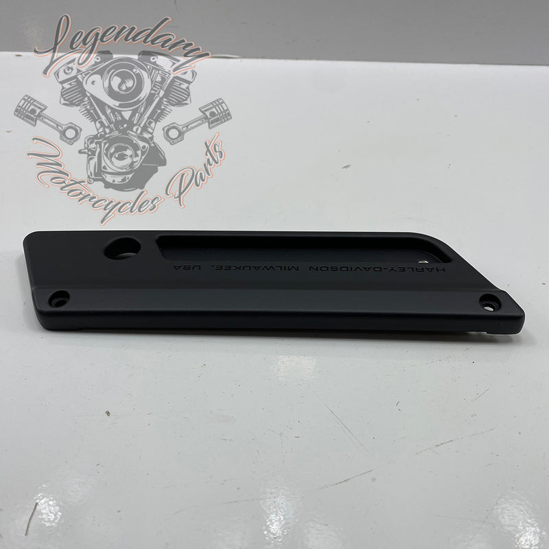 Linke Kofferdeckelplatte OEM 90857-10BYM