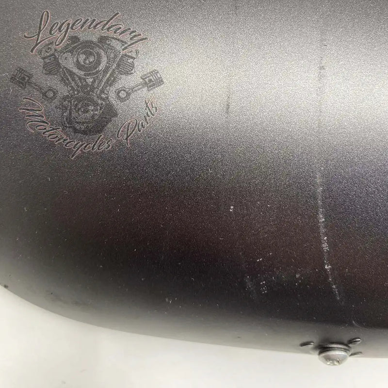 Guardabarros delantero OEM 58900325 (58900338EHO)