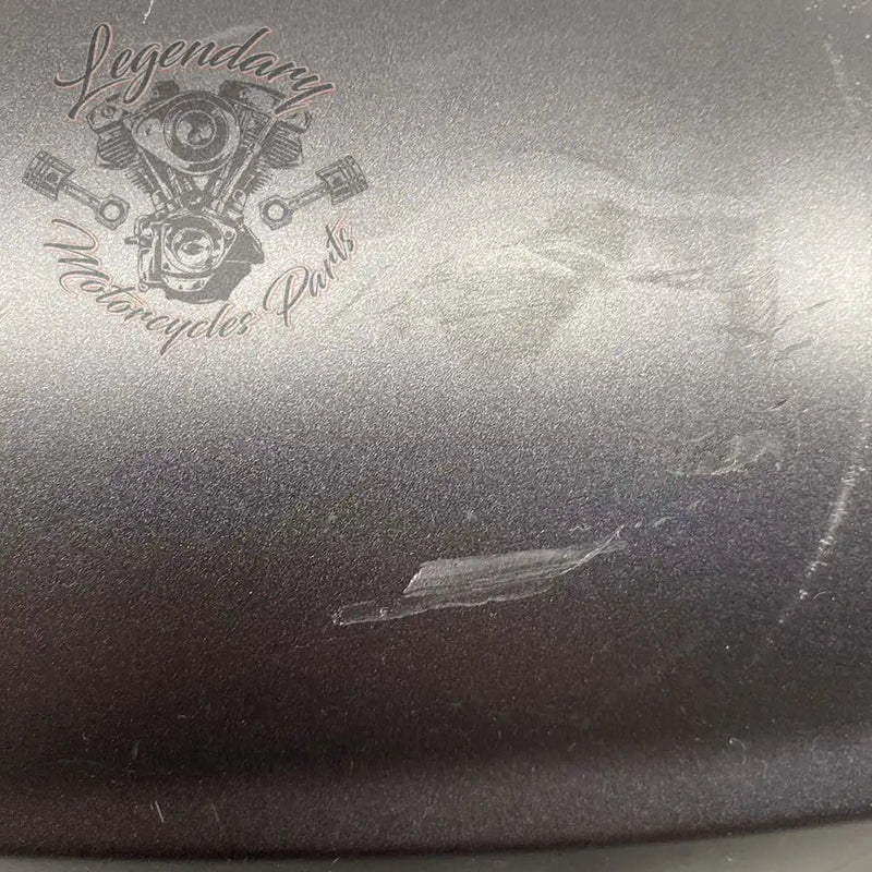 Guardabarros delantero OEM 58900325 (58900338EHO)