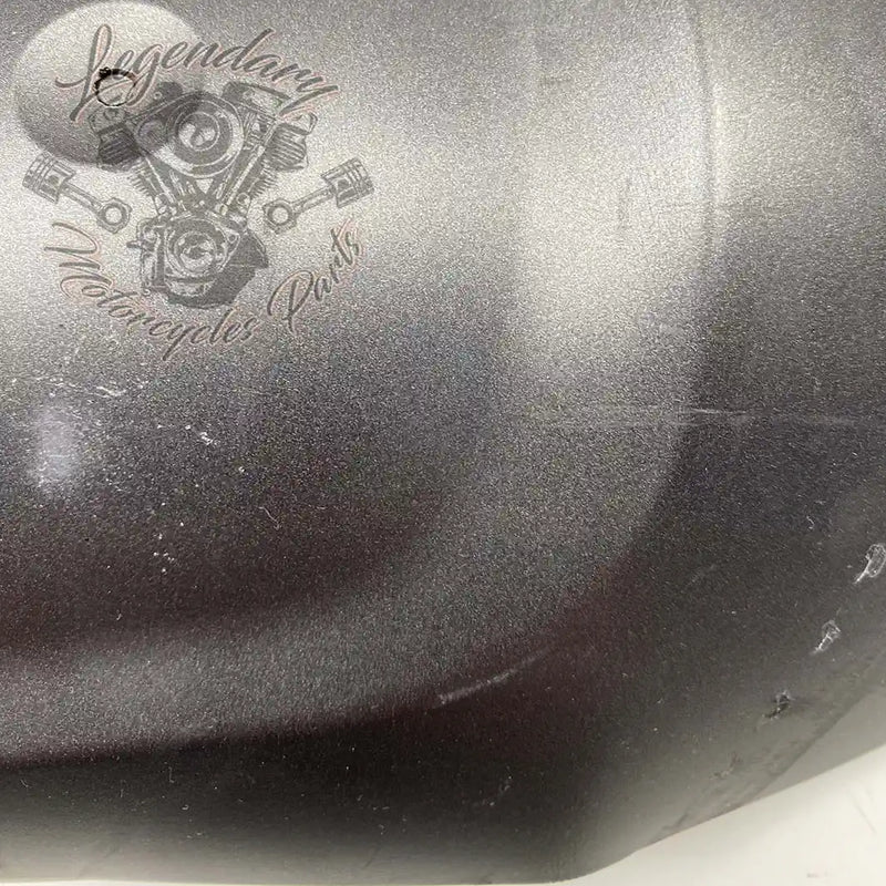 Guardabarros delantero OEM 58900325 (58900338EHO)