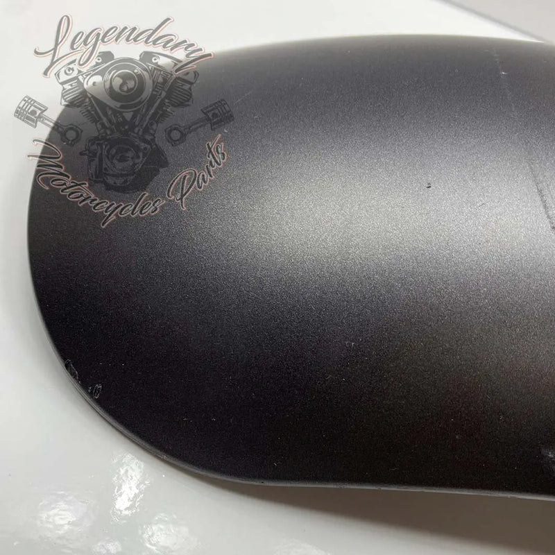 Guardabarros delantero OEM 58900325 (58900338EHO)