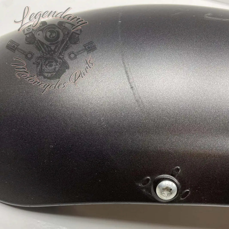 Guardabarros delantero OEM 58900325 (58900338EHO)