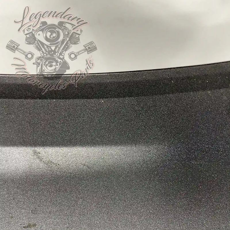 Guardabarros delantero OEM 58900325 (58900338EHO)