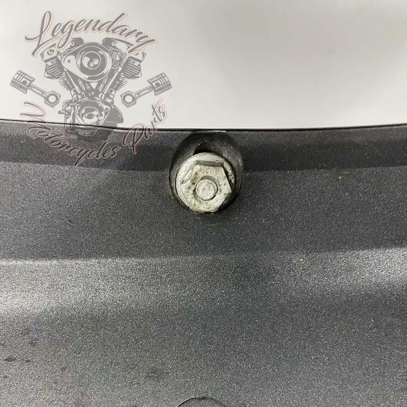 Guardabarros delantero OEM 58900325 (58900338EHO)