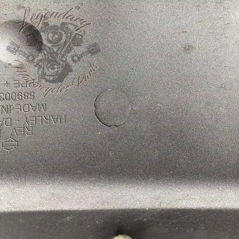 Guardabarros delantero OEM 58900325 (58900338EHO)