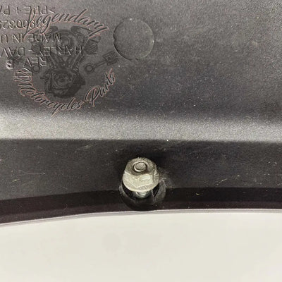 Guardabarros delantero OEM 58900325 (58900338EHO)