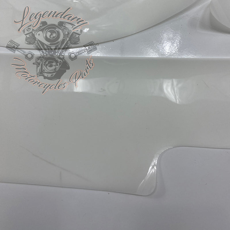 Kit di adesivi protettivi per la vernice OEM 11100125