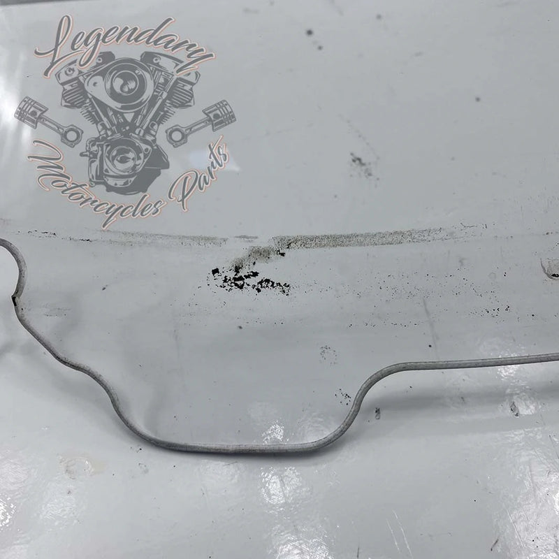 Windshield OEM 57400002