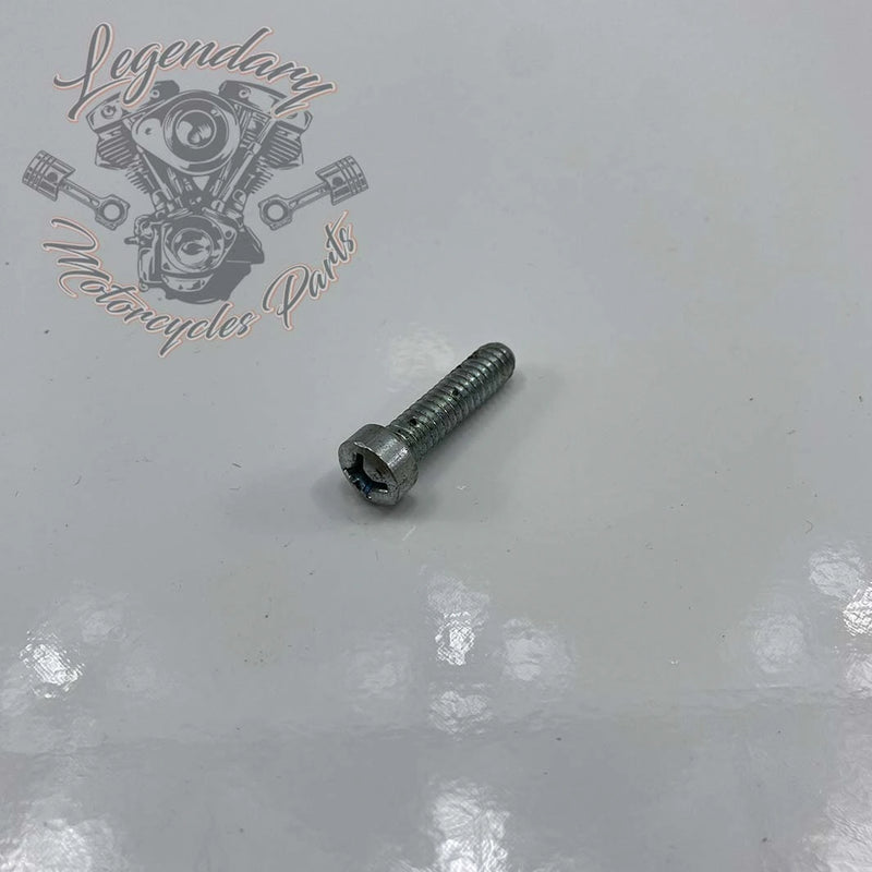 Tornillo 1/4-20 x 1 OEM 1305