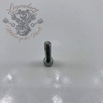 Tornillo 1/4-20 x 1 OEM 1305