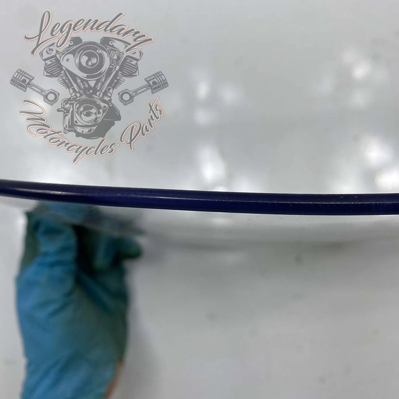 Windshield OEM 57400002