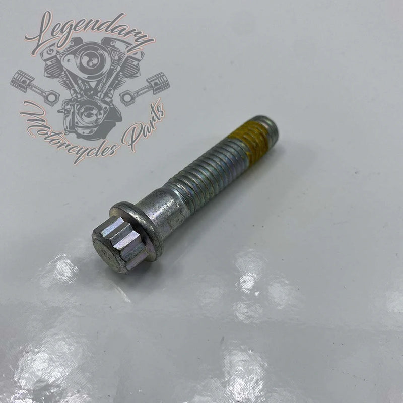 Rear Wheel Spacer Screw OEM 40439-01