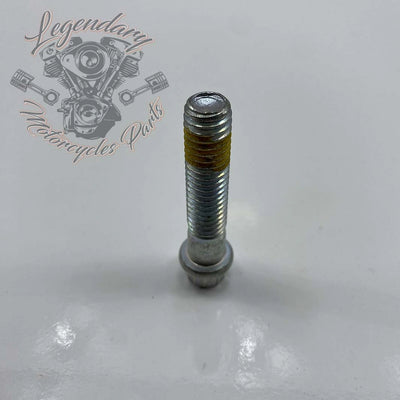 Rear Wheel Spacer Screw OEM 40439-01