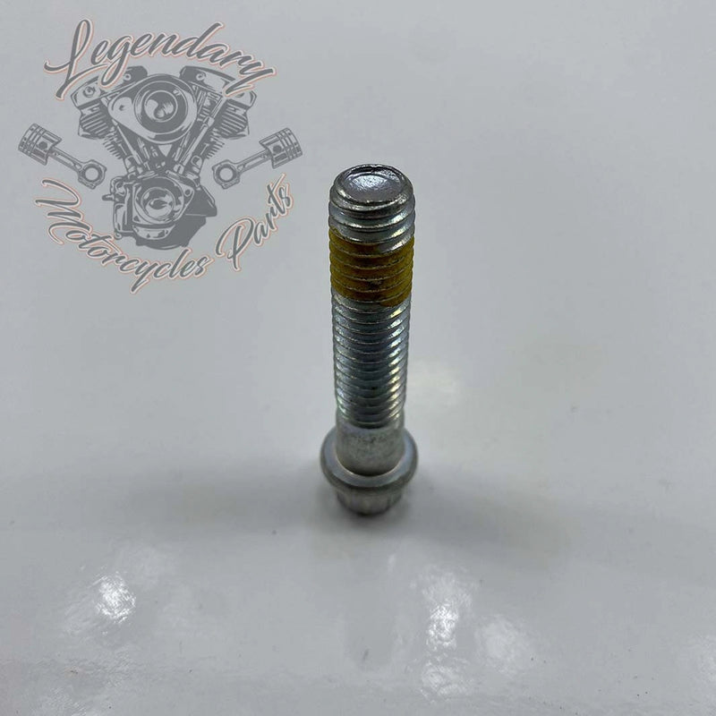 Rear Wheel Spacer Screw OEM 40439-01
