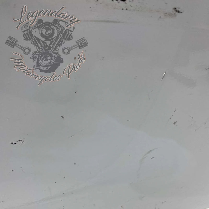Windshield OEM 57400002