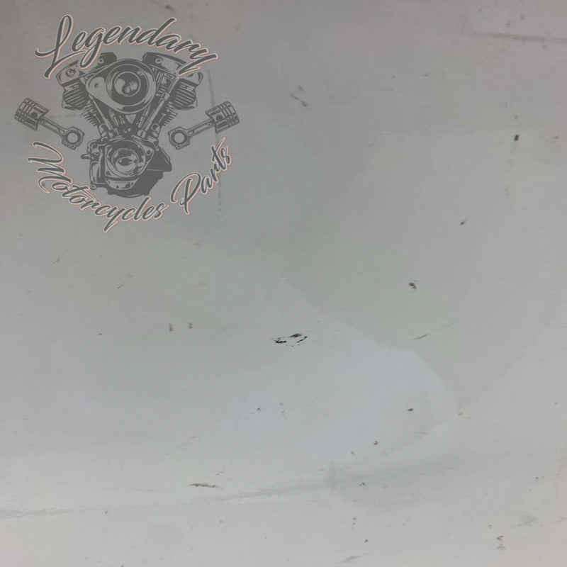 Windshield OEM 57400002