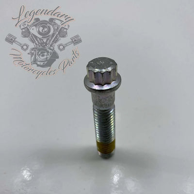 Rear Wheel Spacer Screw OEM 40439-01
