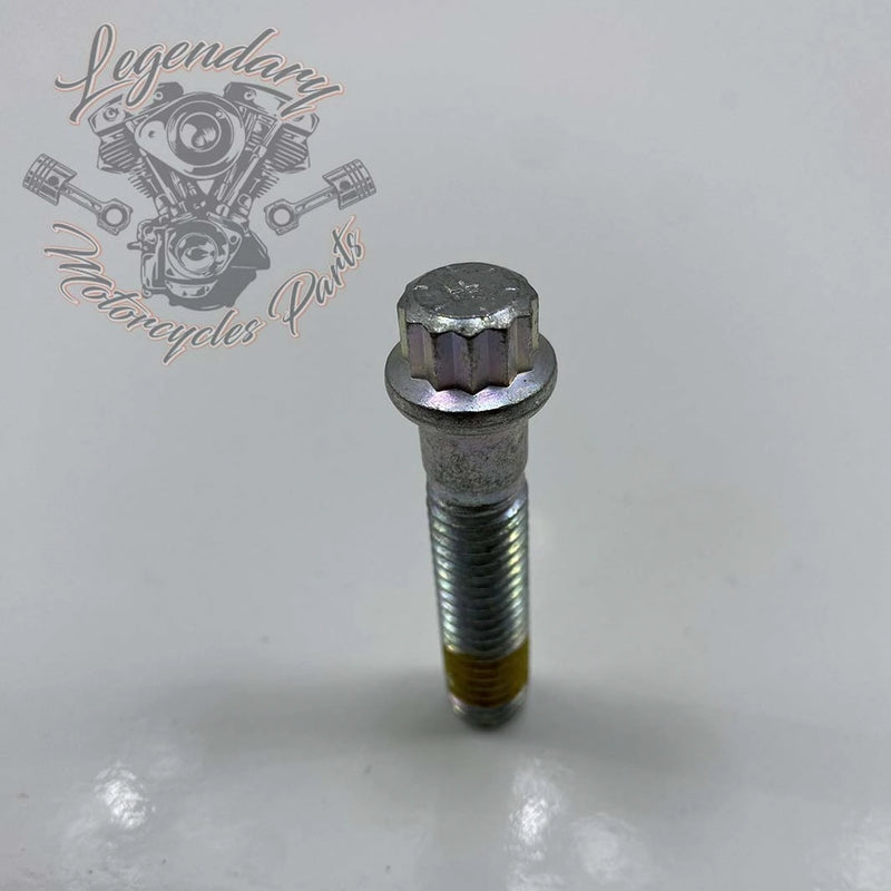 Rear Wheel Spacer Screw OEM 40439-01