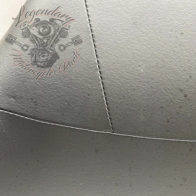 Rugleuning van Tour-Pak OEM 52300314