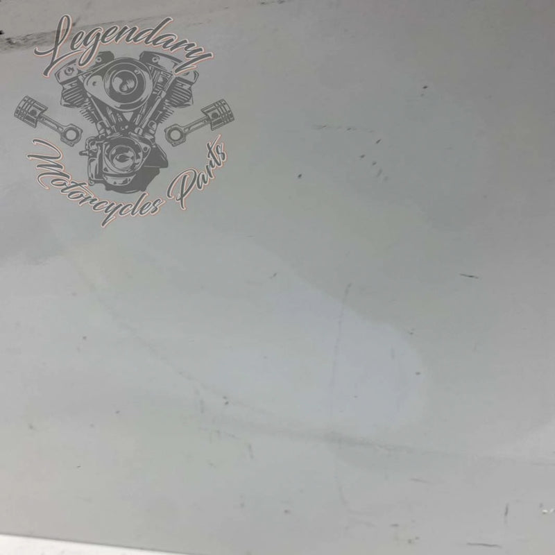 Windshield OEM 57400002