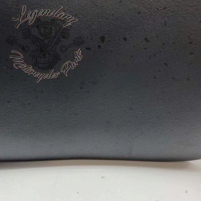 Rugleuning van Tour-Pak OEM 52300314