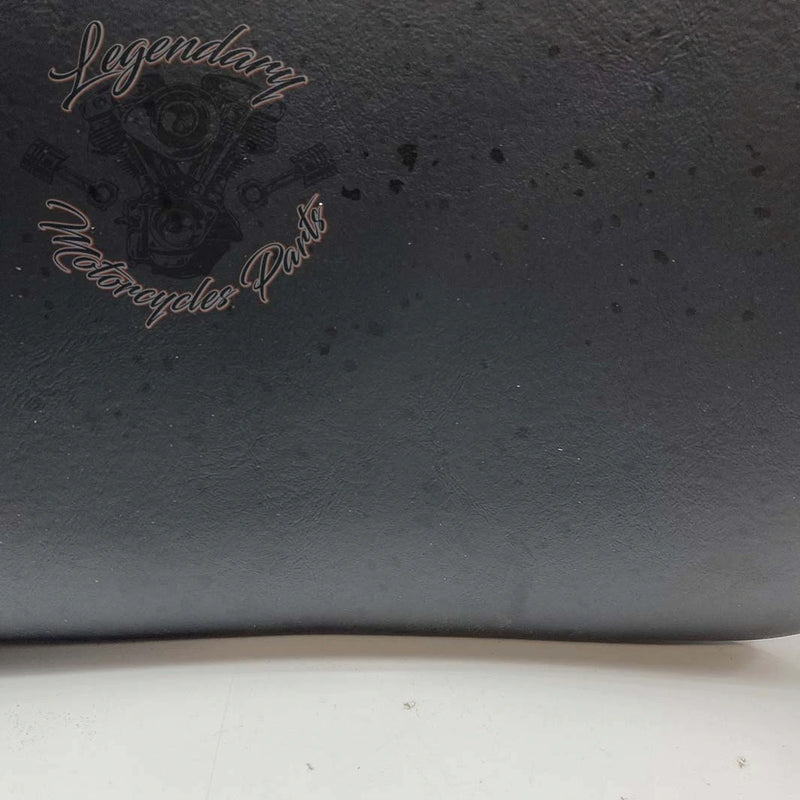 Rugleuning van Tour-Pak OEM 52300314