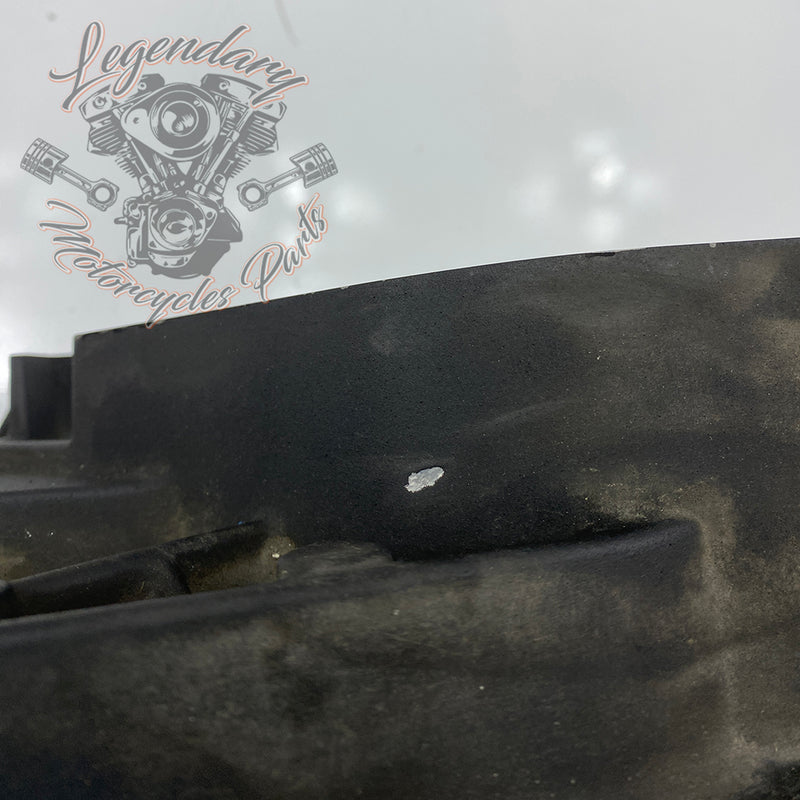 Wewnętrzny pierwotny korpus OEM 60432-01 (60677-01B)