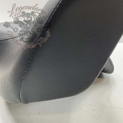 Rugleuning van Tour-Pak OEM 52300314