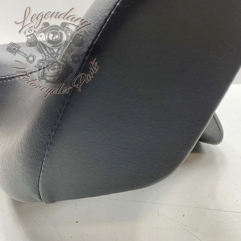 Rugleuning van Tour-Pak OEM 52300314