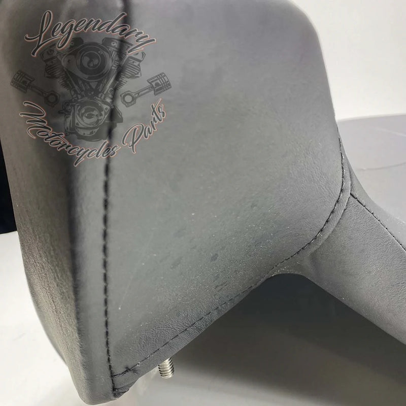 Rugleuning van Tour-Pak OEM 52300314