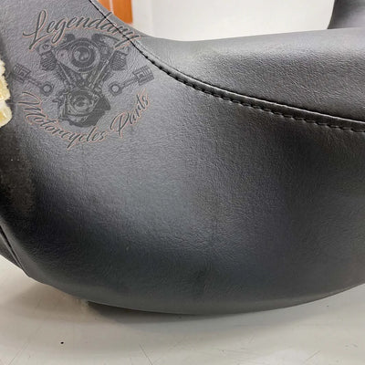 Rugleuning van Tour-Pak OEM 52300314