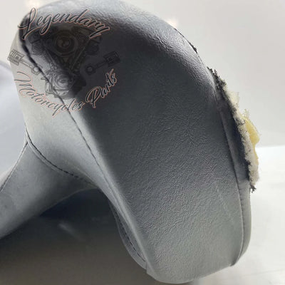 Rugleuning van Tour-Pak OEM 52300314