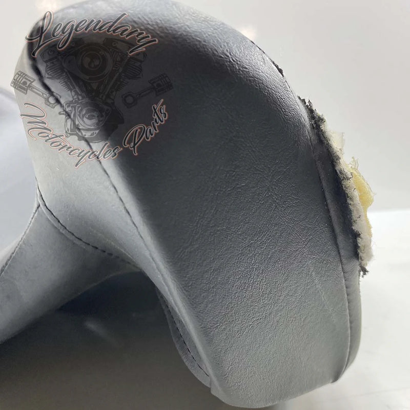 Rugleuning van Tour-Pak OEM 52300314