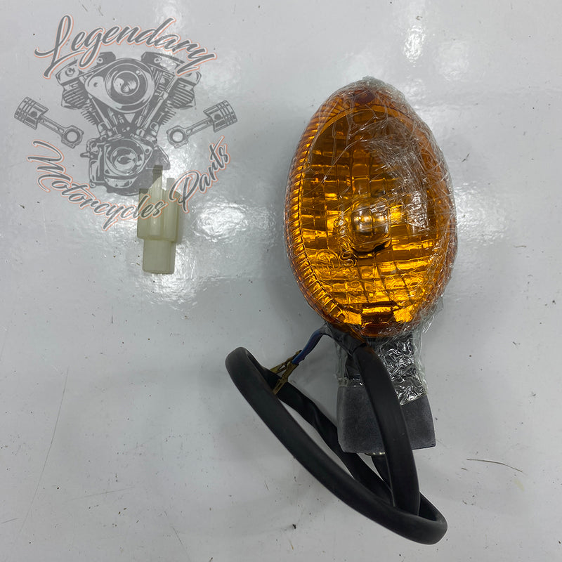 Intermitente trasero izquierdo OEM 67800272