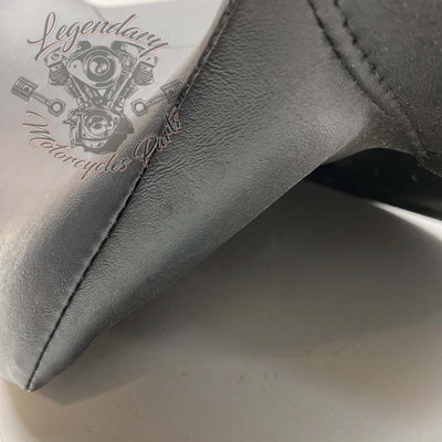 Rugleuning van Tour-Pak OEM 52300314