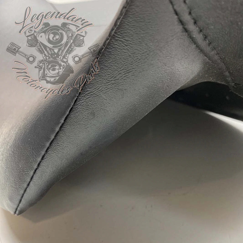 Rugleuning van Tour-Pak OEM 52300314