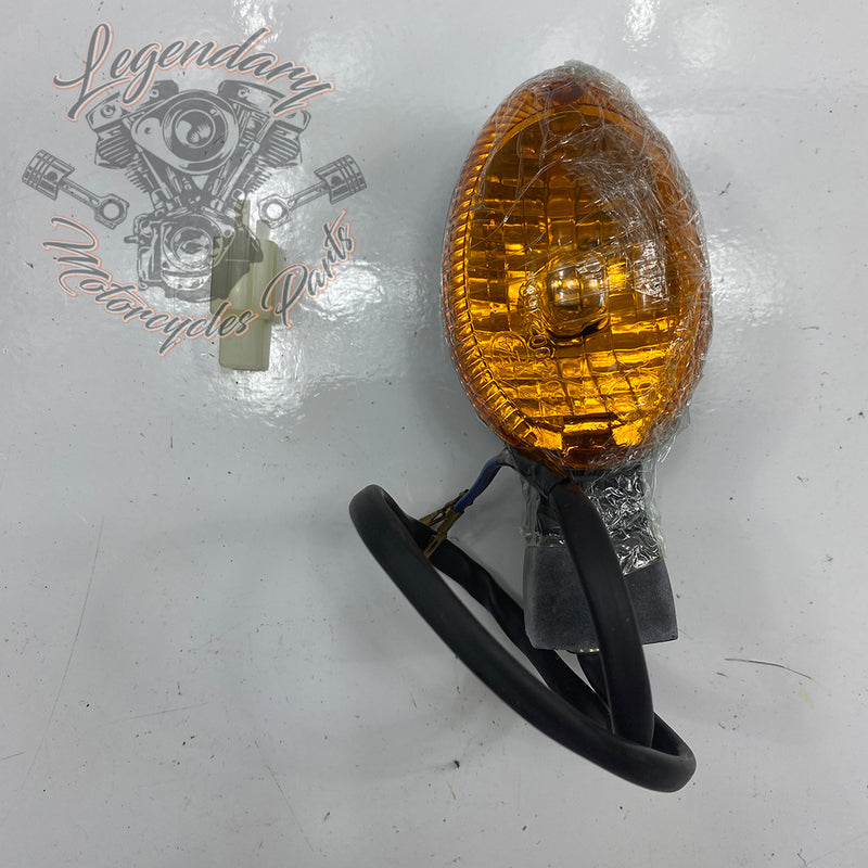 Intermitente trasero izquierdo OEM 67800272