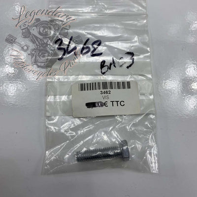 Front Fender Security Plate Screw OEM 3462