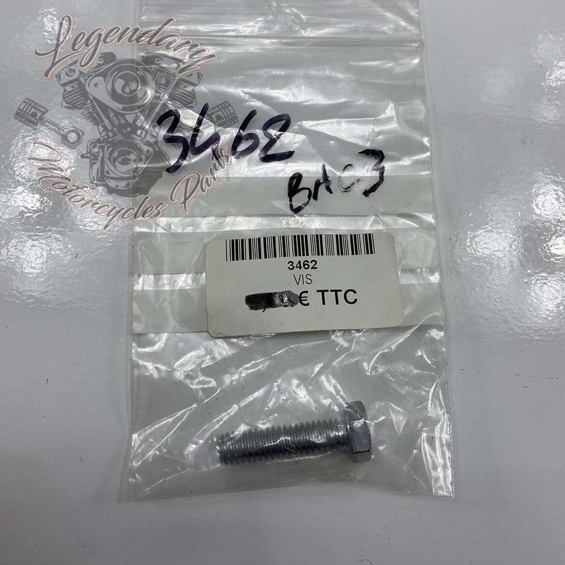 Front Fender Security Plate Screw OEM 3462