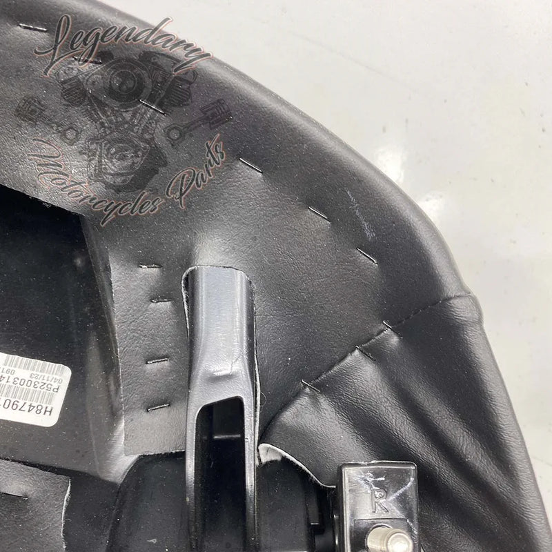 Rugleuning van Tour-Pak OEM 52300314