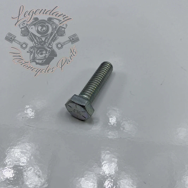 Front Fender Security Plate Screw OEM 3462