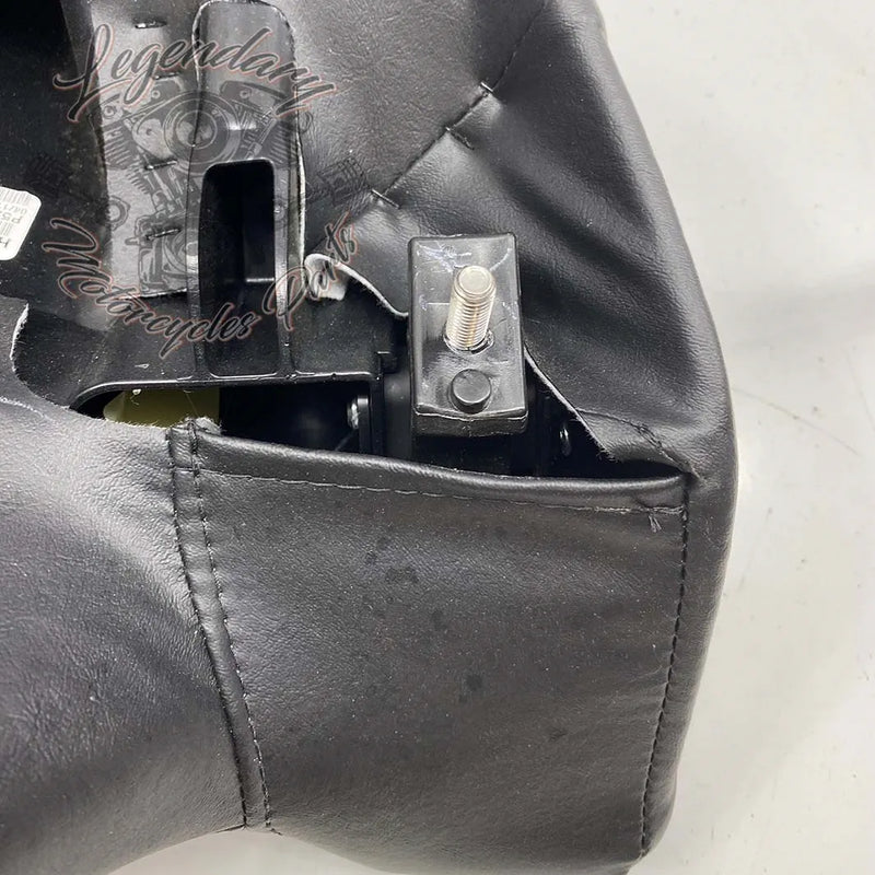 Rugleuning van Tour-Pak OEM 52300314