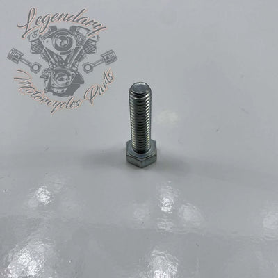 Front Fender Security Plate Screw OEM 3462