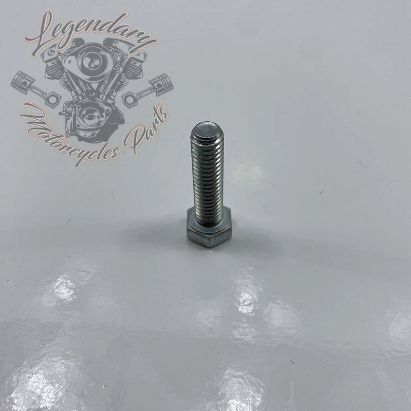 Front Fender Security Plate Screw OEM 3462